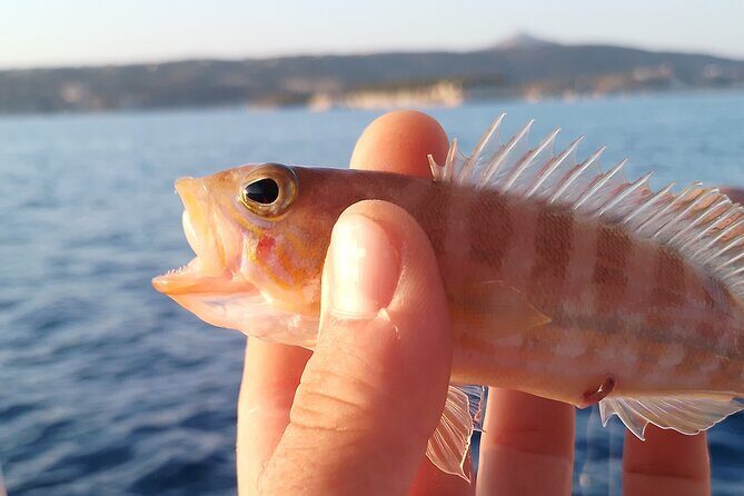Hook Your Adventure Now with Chania Rod Fishing Experience - Price and Logistics: Is $102.41 Good Value?