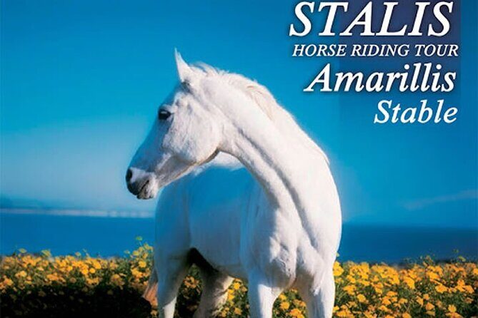 HORSE RIDING 1.5 hours mountains from area Hersonissos CRETE - Quick Hits Before You Go