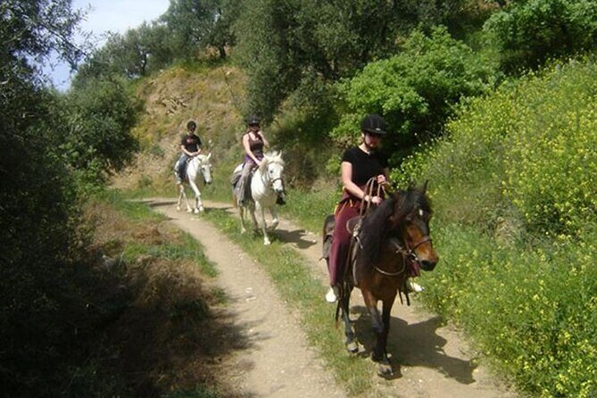 HORSE RIDING 1.5 hours mountains from area Hersonissos CRETE - How the Pickup Works From Hersonissos (and Where Extra Fees Start)