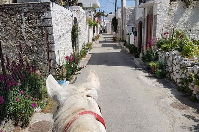 HORSE RIDING 1.5 hours mountains from area Hersonissos CRETE - Price Breakdown: The Real Cost and Why It Can Still Be Good Value