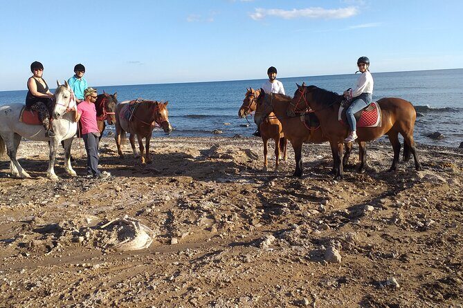 Horse Riding: Explore Secret Thera - Finding your comfort zone: horses, helmets, and ride style