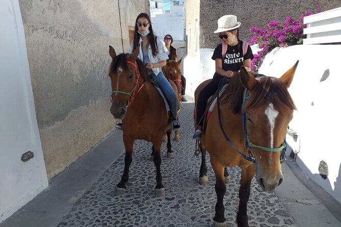 Horse Riding: Explore Secret Thera - What happens during the ride: Megalochori to Santorini views