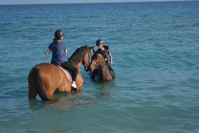 Horse riding on the Beach, Rhodes - Key things to know before you book