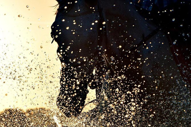 Horse riding on the Beach, Rhodes - The one-hour route: what you can expect during the ride