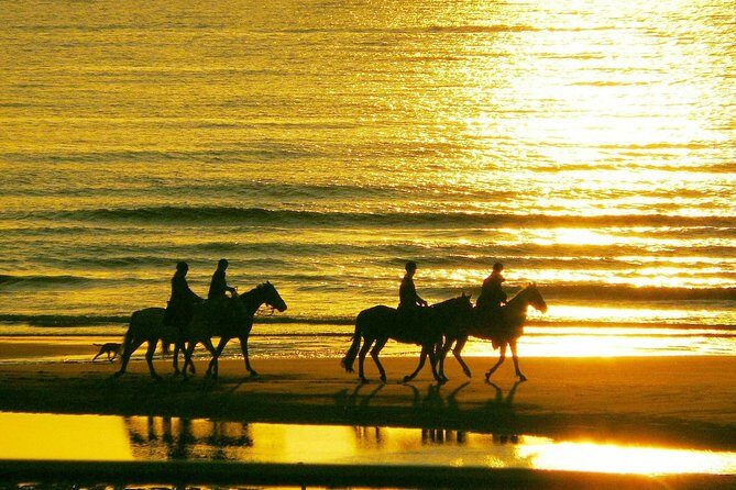Horse riding on the Beach, Rhodes - Small group rules: why max 4 makes this worth considering