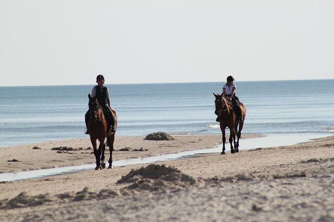 Horse riding on the Beach, Rhodes - Price and value: what $133.12 buys you (and what it doesn’t)