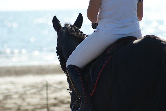 Horse riding on the Beach, Rhodes - Weather and timing: the two things that can change the ride