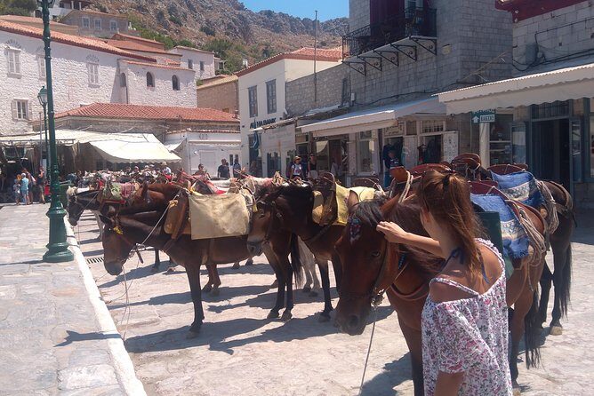 Hydra Island Day Tour with your Private Guide in the Most Cosmopolitan Island - Speedboat timing and adjusting your Hydra time