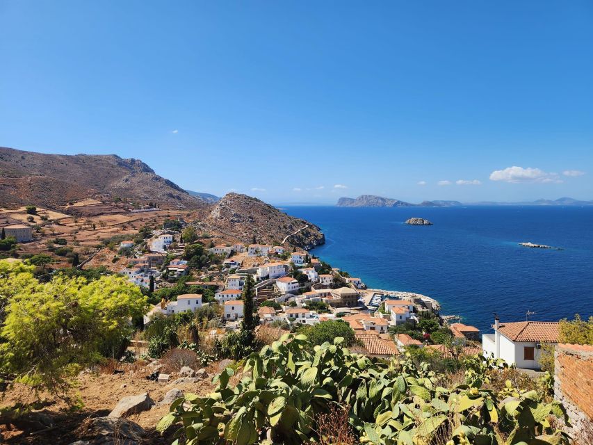 Hydra Island Private tour from Athens with your own guide - Who should book this Hydra day trip?