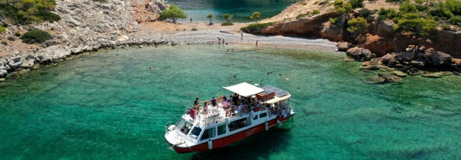 Hydra: Island Tour by Boat with Lunch - Secret Cave or Daskalakis Cave: purple seaweed and a real swim break