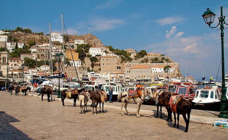 Hydra Island Trip from Athens with Ferry Tickets Included - Architecture and island culture: Italian craftsmen, 1821 homes, and the religious count