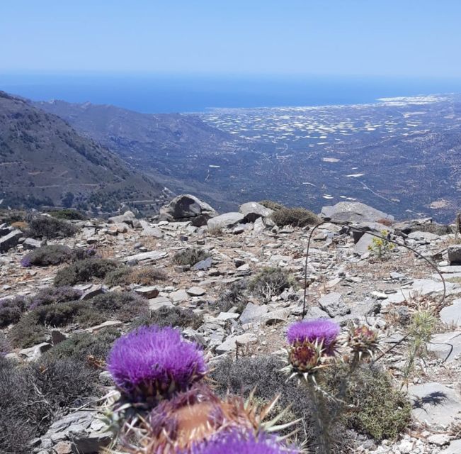 Ierapetra: Eastern Crete Nature Jeep Driving Tour - Key points to know before booking