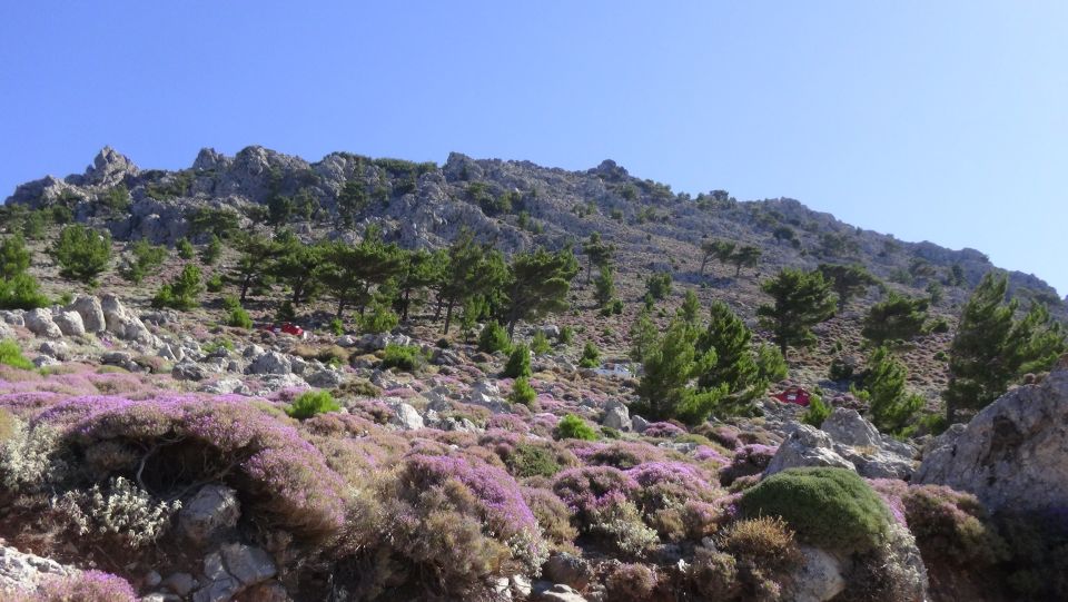 Ierapetra: Eastern Crete Nature Jeep Driving Tour - Arriving in Stavrohori, a quiet mountain village