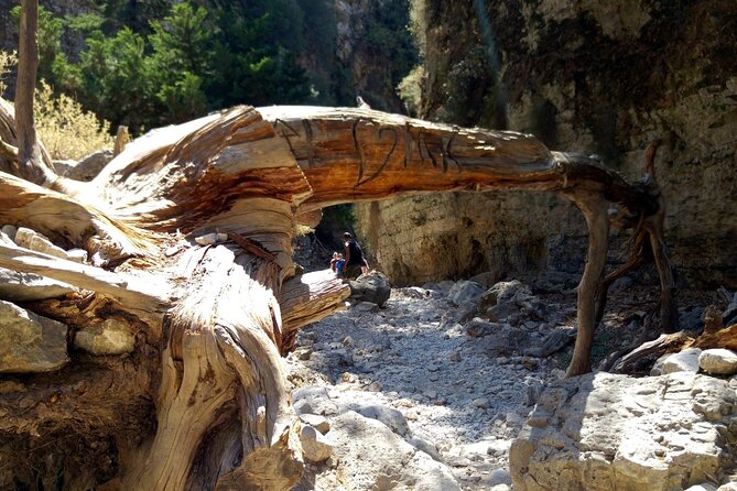 Imbros Gorge Adventure Day Trip from Chania - Is $35.49 good value?