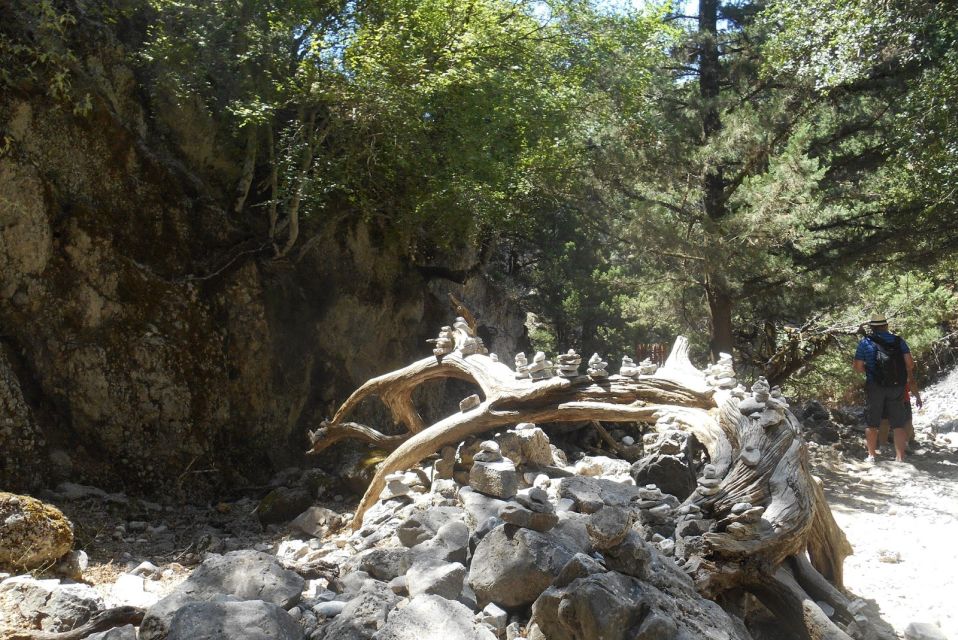 Imbros Gorge Hike From Rethymno - The morning pickup and drive into the White Mountains