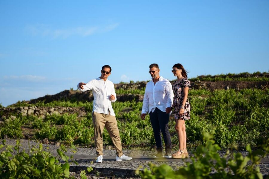 Imerovigli: Premium Wine Tasting with Caldera and Sea Views - Staying longer for sunset: a smart add-on if the timing fits