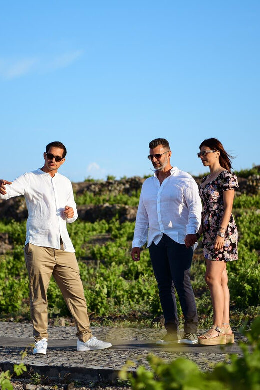 Imerovigli: Premium Wine Tasting with Caldera and Sea Views - Price and value: what you’re paying for at $104 per person