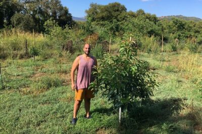 In Crete Discover the miracle of Olive Oil and Organic Fruits - Tsivaras offers the day’s oldest story