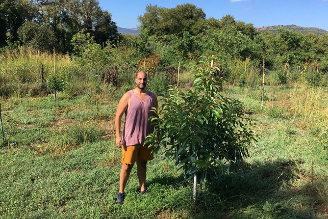 In Crete Discover the miracle of Olive Oil and Organic Fruits - Tsivaras offers the day’s oldest story