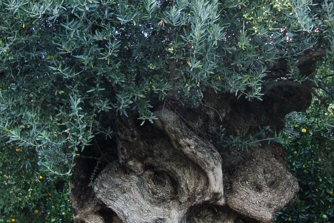 Individual travel accompaniment East Crete - Beaches, archaeology, and a day with variety