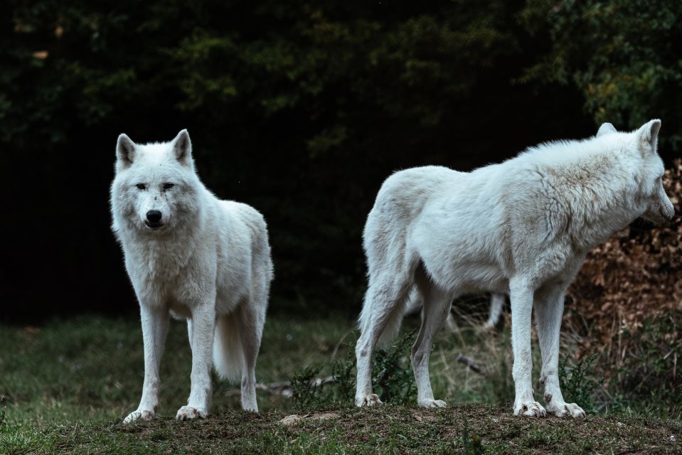 International Environmental Centre of ARCTUROS Tour - Who will enjoy this experience most?