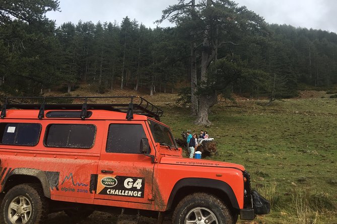 Jeep Safari daily tour - Forest tracks used by bears and lumberjacks