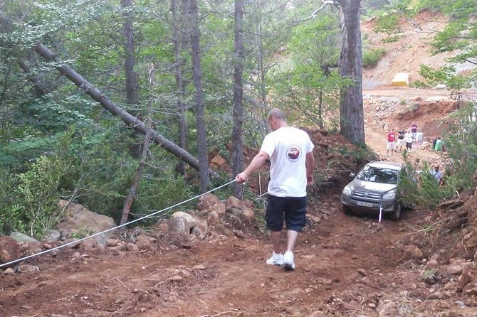 Jeep Safari daily tour - Views, plants, and seasonal berries