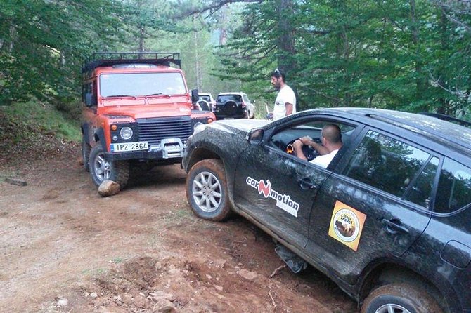 Jeep Safari daily tour - The pond stop and the question of swimming
