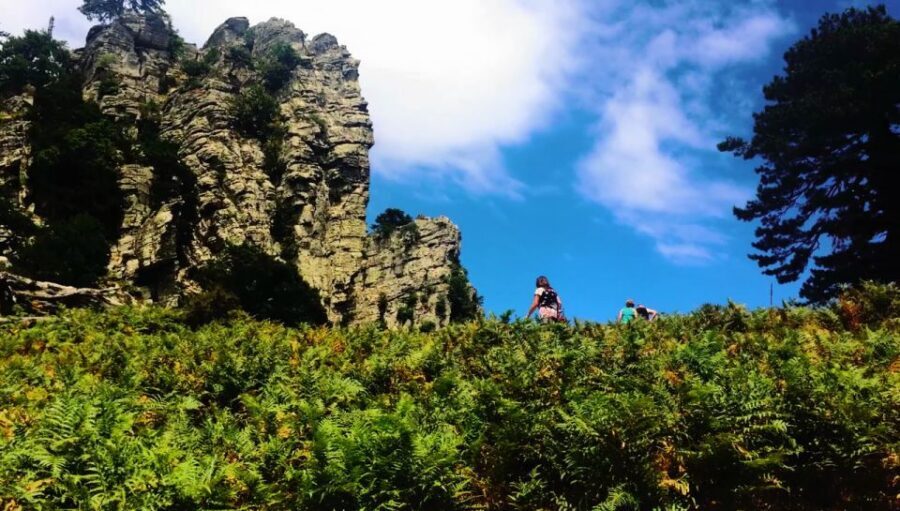 Jeep Safari in Thassos Mountain with picnic fruits & wine - Jeep Safari up Ipsarion: the drive that makes the day
