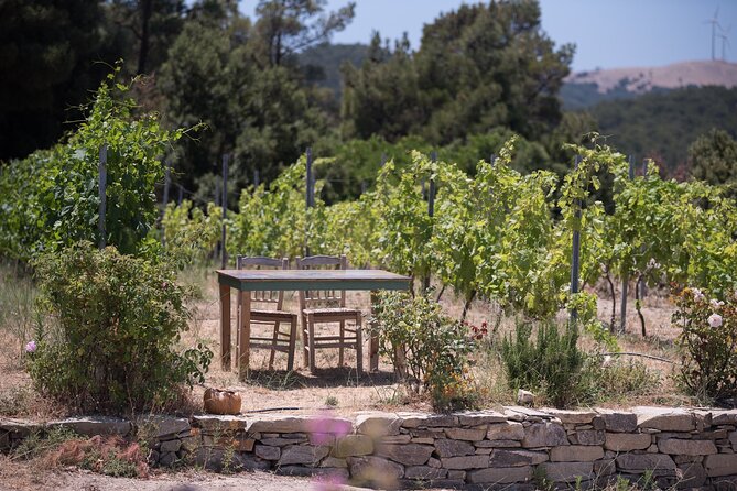 Join the winemaker for a unique culinary and wine tasting journey - A warm welcome, led by the Afianes family