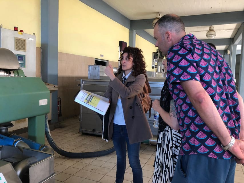 Kalamata, Greece: Organic Olive Grove Tour-Olive oil tasting - Seeing how olives become oil at the mill