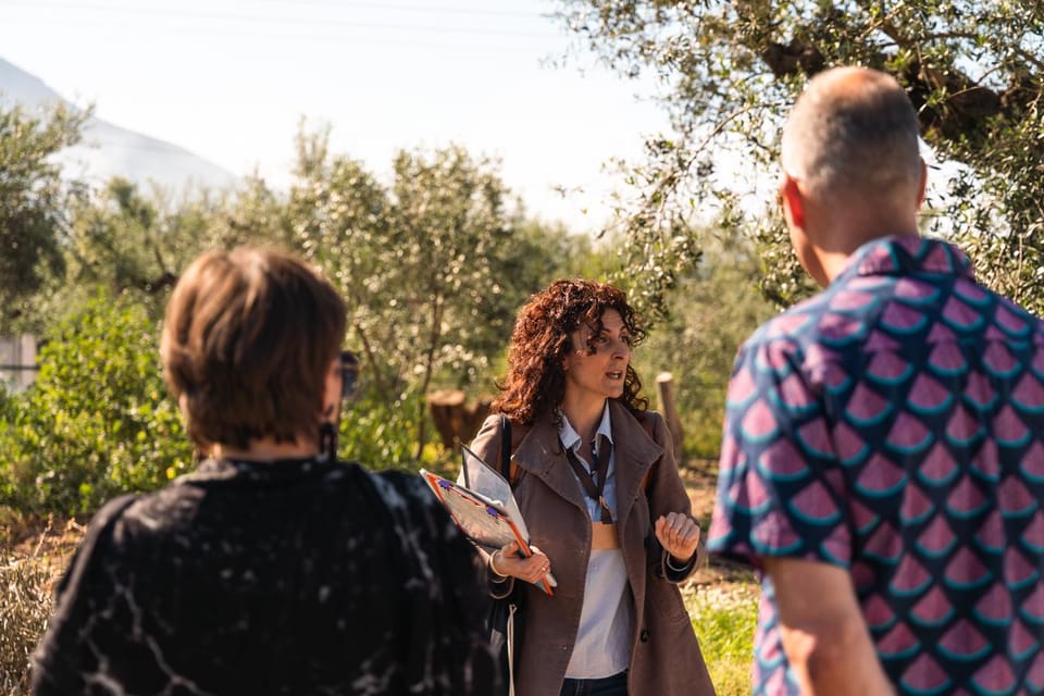 Kalamata, Greece: Organic Olive Grove Tour-Olive oil tasting - Adding a Messinian lunch