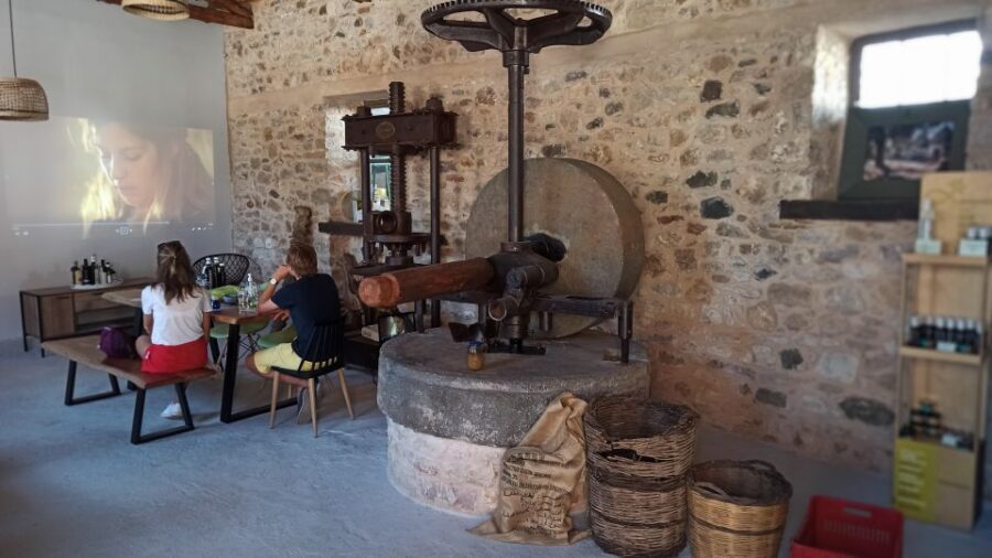 Kalamata: The Olive Oil Routes Tour - Who should book the Kalamata Olive Oil Routes Tour?