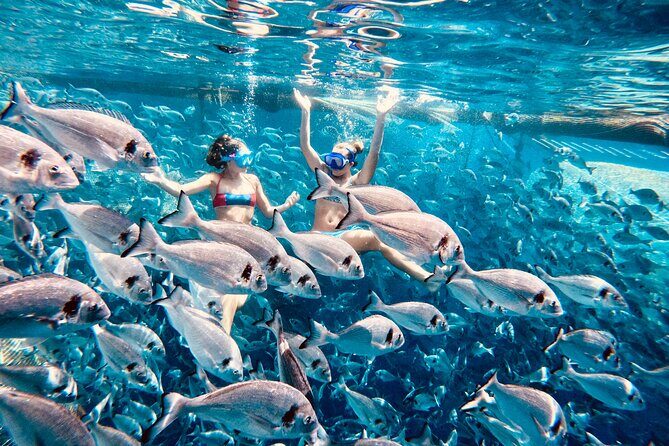 Kamiros Skala: Marine Life Experience - Kamiros Skala Marine Life: The “Marine Biologist, Not a Tour Host” Factor