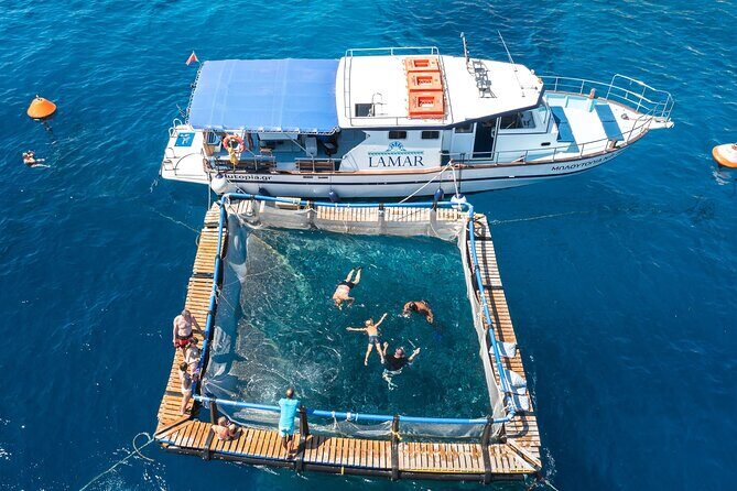 Kamiros Skala: Marine Life Experience - Photos After the Trip: A Nice Bonus for Parents and Busy Memories