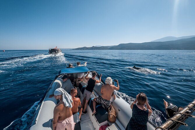 Kamiros Skala: Marine Life Experience - How Much It Costs and Whether It’s Good Value at $108.02