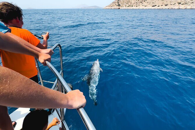 Kamiros Skala: Marine Life Experience - Timing, Weather, and the Best Way to Place This on Your Rhodes Itinerary