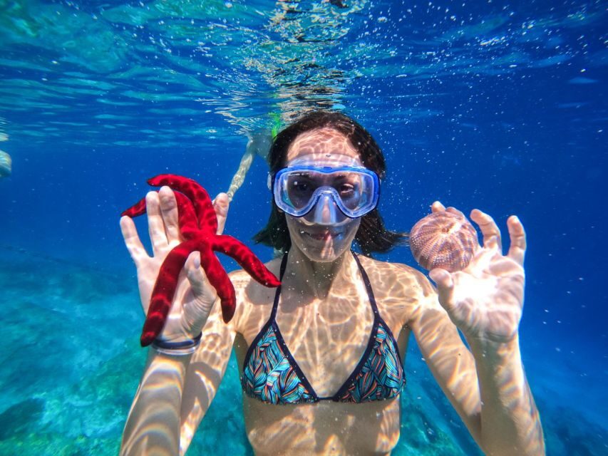 Kamiros Skala : Marine Life Experience & Alimia Island - Seasickness, timing, and what to pack so you feel good all day