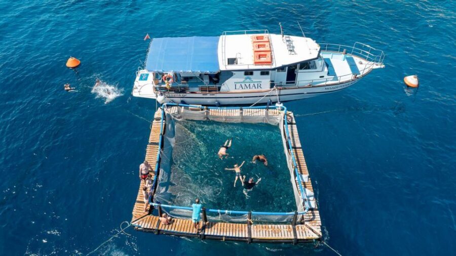 Kamiros Skala : Marine Life Experience & Alimia Island - Alimia Island: uninhabited calm, two churches, and room to reset