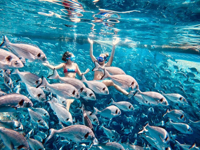 Kamiros Skala : Marine Life Experience & Alimia Island - The boat day experience: what “good organization” feels like on the water