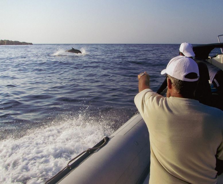 Kamiros Skala : Marine Life Experience & Alimia Island - Optional add-on: the short intro scuba lesson