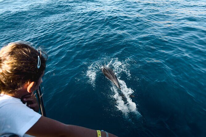 Kamiros Skala: Marine Life Experience - Dolphins at Sea: When the Captain Does the Big Doughnut Routine