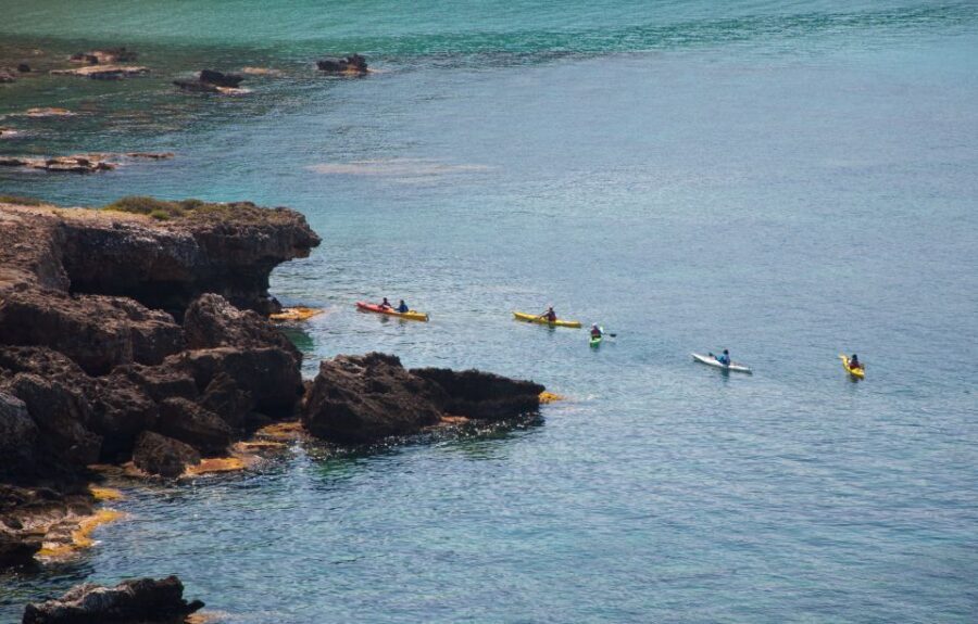 Kardamyli: Sea Kayaking With Lunch - Lunch on the Sand: A Homemade Picnic That Actually Feels Like Lunch
