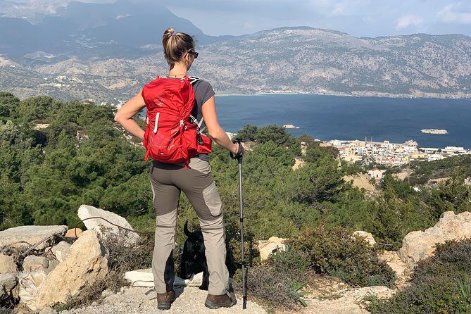 Karpathos scenic Agia Kyriaki Walk from Pigadia - Pine forest on the way back: calmer footing and eastern coast views