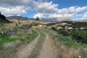 Karpathos Valley Walk in Pigadia - easy guided walking tour - The Chapel Break Below Menetes: Shade, Tea, and Local Plant Stories