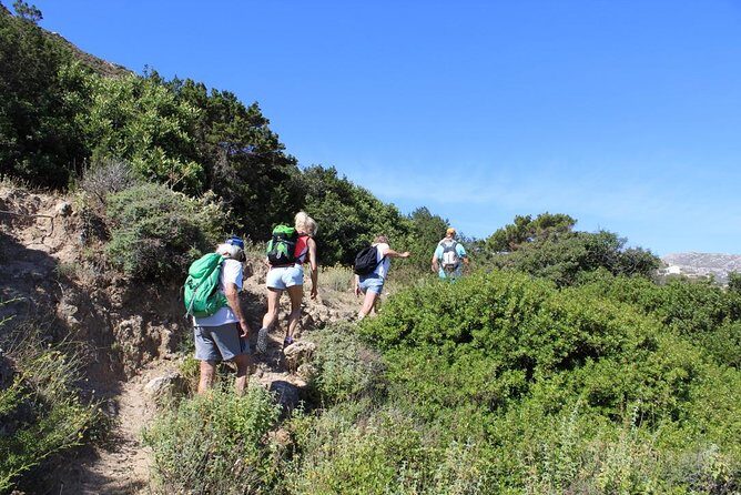 Karpathos Valley Walk in Pigadia - easy guided walking tour - Into a Slightly Wet River Bed: Olive Time, Fossil Shells, and Texture