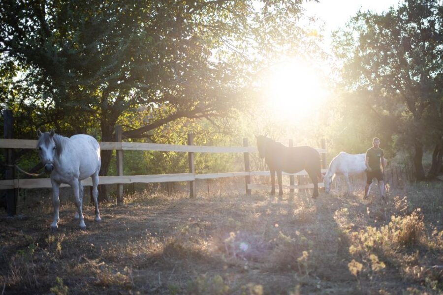 Kastraki: Meteora Sunset Horseback Riding - Meet the Stables, Get Your Helmet, and Settle In
