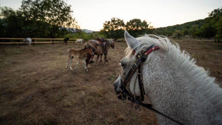 Kastraki: Meteora Sunset Horseback Riding - The Ride Through Meteora’s Paths: Calm Trails, Big Views