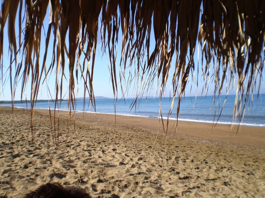 Katakolo: Ancient Olympia and Kourouta Beach Guided Tour - Key things to know before you go