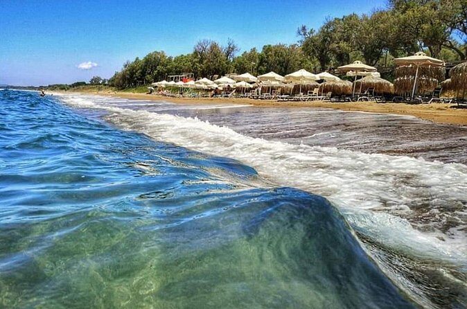 Katakolo Port Shore and Kourouta Beach Excursion - Group Size and Day Feel: Small Enough to Relax